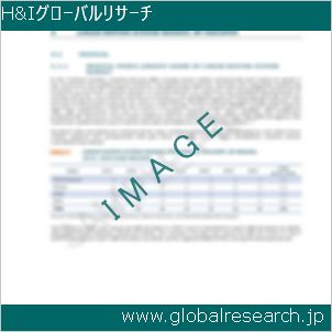 グローバルリサーチ調査レポートのイメージ